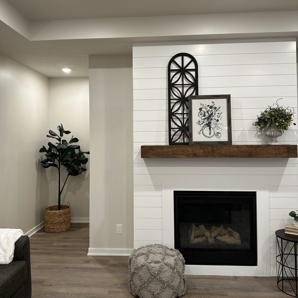 Interior painting Living Room