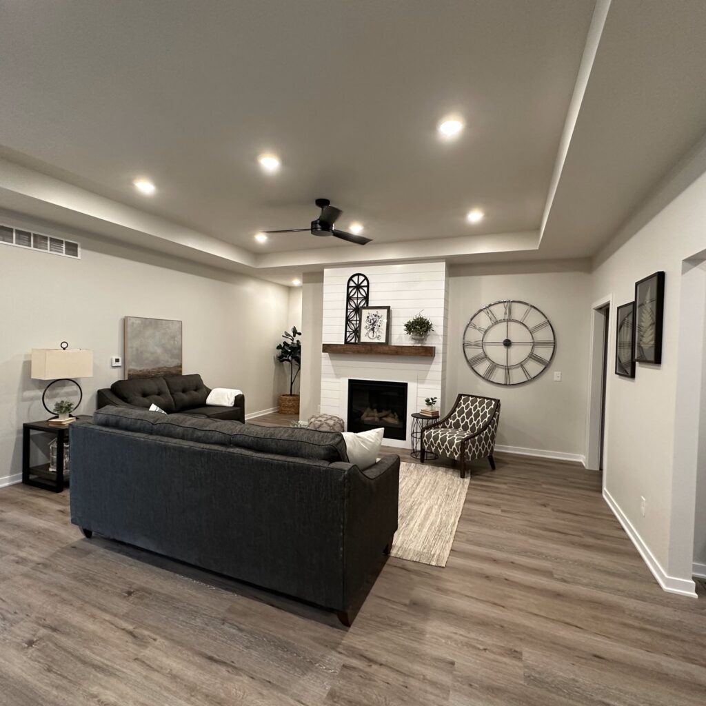 Interior painting Living Room